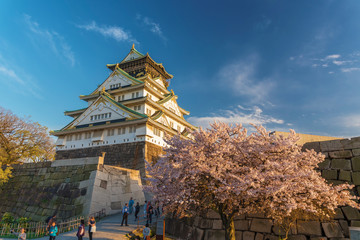 Osaka castle with sakura flower blossom under sunset in springtime in Japan