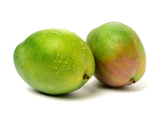 mangos on a white background 