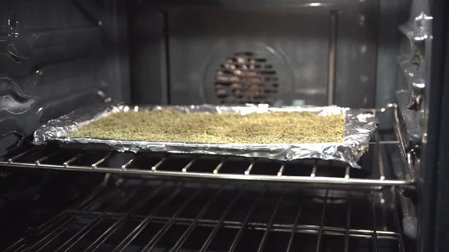 Finely ground marijuana on a baking sheet in the oven for decarboxylation and cooking into thc cbd infused oil for edibles or medical cream.