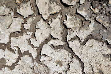 Dry land and cracked ground. Climate change and global warming. Ecological catastrophe.