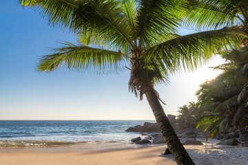 Sunset at exotic tropical beach with coco palms and turquoise sea in exotic Paradise island.