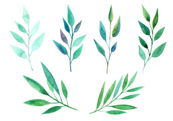 Set of green leaves. Watercolor illustrations. Collection for cards, patterns, flowers compositions, frames, wedding cards and invitations..