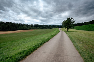 Fototapeta na wymiar An empty country road through the green fields