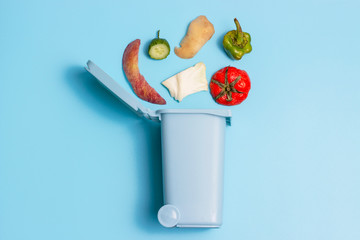 Organic waste and trash can on blue background, concept of garbage sorting
