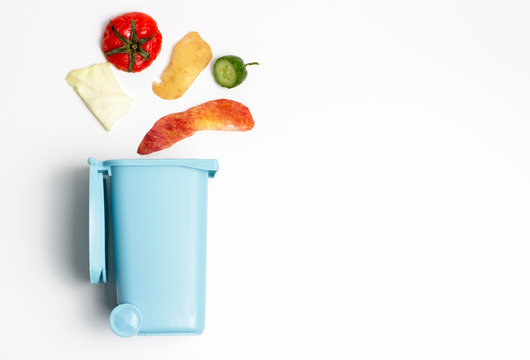 Organic waste and trash can on white background with copy space, concept of garbage sorting