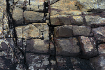 Textured rock face on the shore