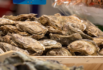 Fresh raw oysters on outdoor street market in Cancale town in Brittany, France