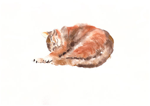 watercolor lying sleeping striped ginger cat