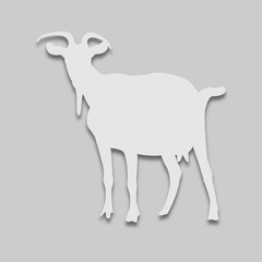 animal goat in bright tone