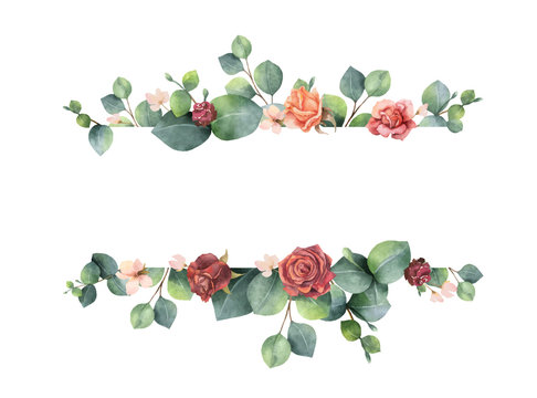 Watercolor vector hand painted banner with green eucalyptus leaves and flowers. 
