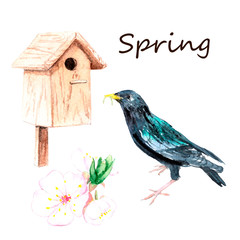 watercolor drawings - bird, spring flower, birdhouse sketch