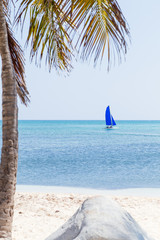 blue sail in turquoise water