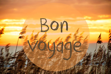French Text Bon Voyage Means Good Trip. Beach Grass At Sunrise Or Sunset In Background