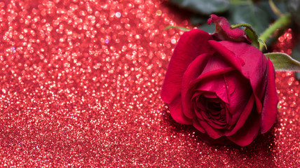 Rose over red abstract background with bokeh defocused lights