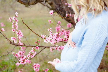 Beautiful pregnant woman posing against the pink flower trees garden in spring, dressed blue sweater and wreath pink flower . Female holding the belly.