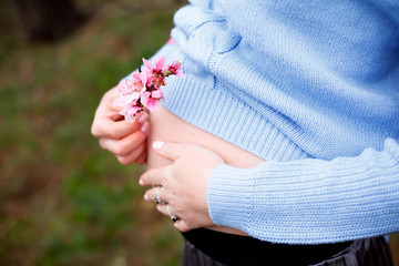 Close-up of the female hand holding the belly of beautiful pregnant woman  against the pink flower trees gardenand fog in spring, the parent expecting the girl.