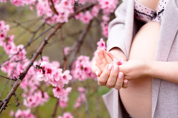 Close-up of the female hand holding the belly of beautiful pregnant woman  against the pink flower trees gardenand fog in spring, the parent expecting the girl.