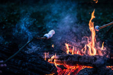 Roast marshmallows