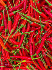 fresh ripe red hot chili close up in market. healthy food texture. vegetables background.