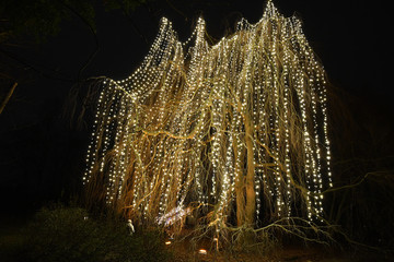 Christmas tree in night. Branched tree with golden illumination in Christmas Garden Berlin Europe. Shiny Christmas lights on old tree and small human silhouette underneath. Christmas lighting decor