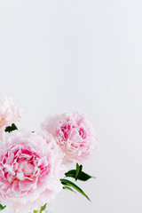 Obraz na płótnie Canvas Beautiful pink Peony flowers on light background. Copy space. Banner, greeting card, story, flower shop concept. Close up, copy space