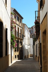 View along a traditional Spanish residential street in the old town, Baeza, Spain.