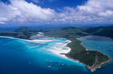 Australia Queensland White haven beach - obrazy, fototapety, plakaty