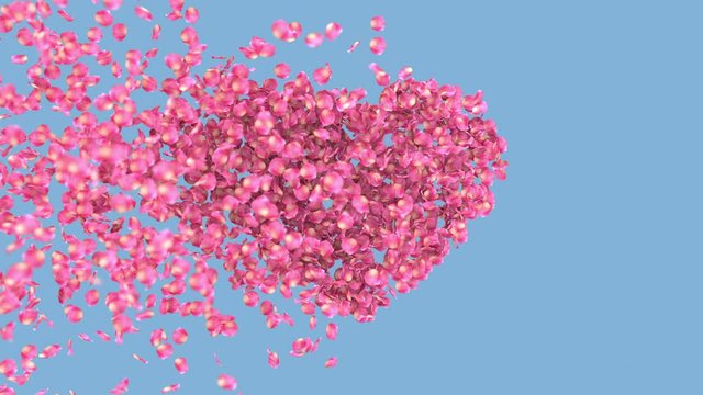 heart of rose petals is blown away by the wind