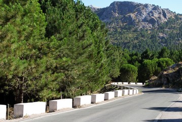 Mountain road in the countryside, Sierra de Grazalema, Spain.
