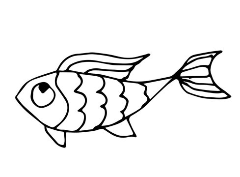 Fish Outline Images – Browse 218,784 Stock Photos, Vectors, and Video