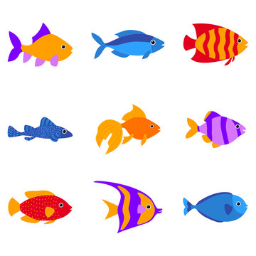Set of vector aquarium fish silhouette illustration. Water icon. Underwater ocean fauna. Colorful cartoon flat aquarium fish icon for your design. Flat vector. Ocean wildlife. Decoration element.
