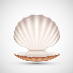 Open empty seashell icon isolated on a white background - obrazy, fototapety, plakaty