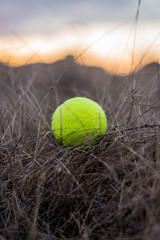 Tennis ball on the dry grass. Sports equipment.
