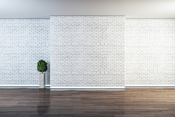 interior and brick wall with copyspace and plant