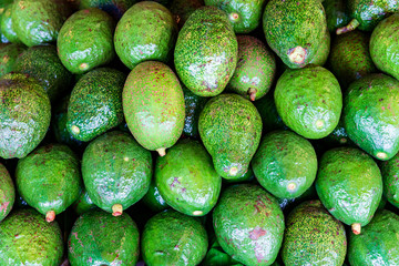 Avocado in the market food concept background.