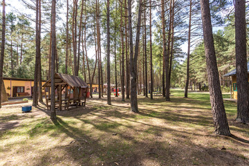wooden camping arbors  with all conviniences in a pine forest