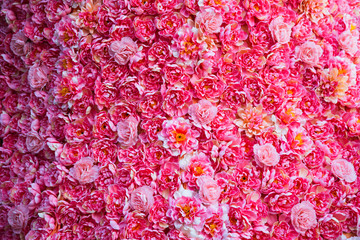 background of pink flowers