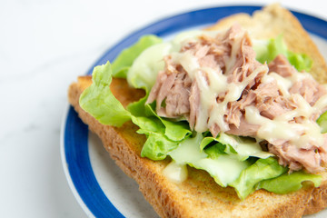 Club sandwich with cheese, cucumber, tomato, ham and eggs. Top view