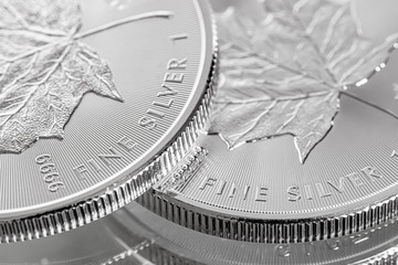 Macro Close up of a 9999 Silver Canadian Maple Leaf Bullion Coin