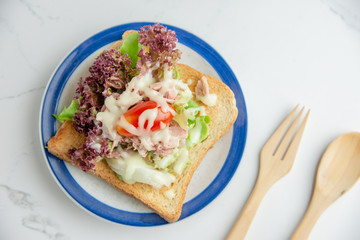 Sanwich salad on a plate with modern background.