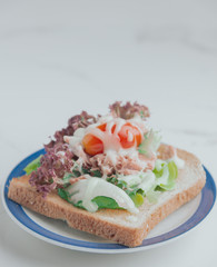 Sanwich salad on a plate with modern background.