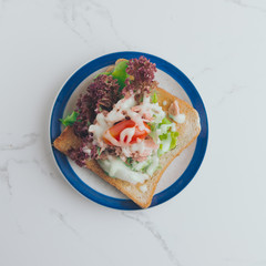 Sanwich salad on a plate with modern background.