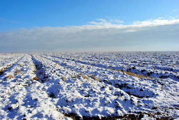 Fototapeta na wymiar Plowed field covered with snow, winter landscape, bright blue cloudy sky