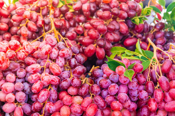 bunch of red grapes