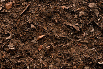 Soil texture background, Fertile loam soil suitable for planting.