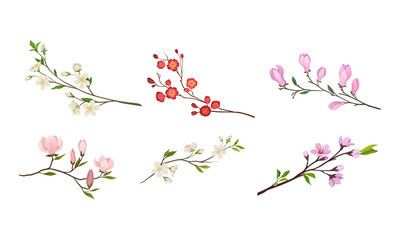 Blooming Tree Branches and Twigs with Tender Flower Buds Vector Set