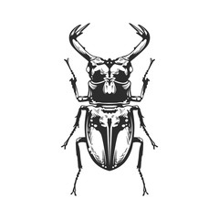 Vector Engraving Insect