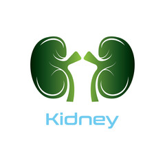 Kidney Care vector illustration design logo template symbol