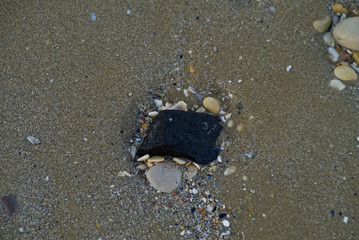 Conchiglie e sassi sulla sabbia