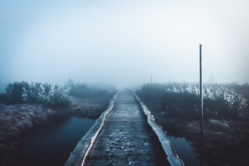 Bridge parth covered in fog in the winter mountain swamps, Krkonose, Czech Republic - Powered by Adobe